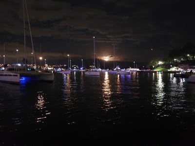 20201231_214124.jpg