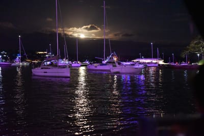 DSC_3440.JPG