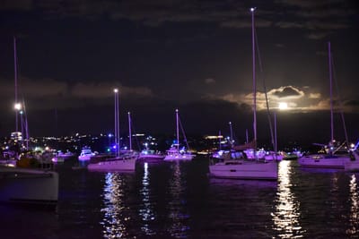 DSC_3441.JPG