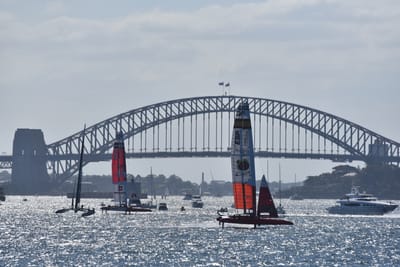 DSC_4385.JPG