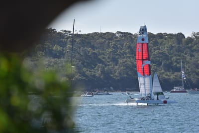 DSC_4412.JPG