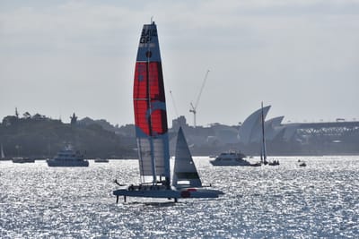 DSC_4431.JPG