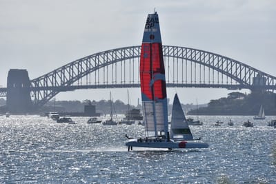 DSC_4433.JPG