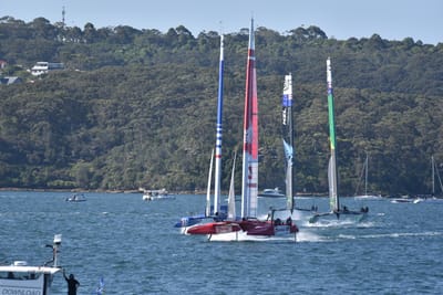 DSC_4446.JPG