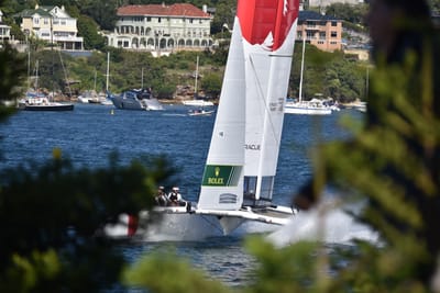 DSC_4456.JPG
