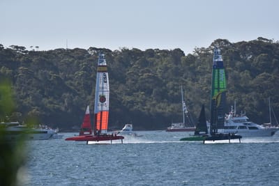 DSC_4462.JPG