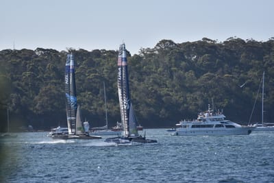 DSC_4474.JPG
