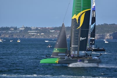 DSC_4495.JPG