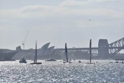 DSC_4516.JPG