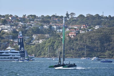 DSC_4524.JPG