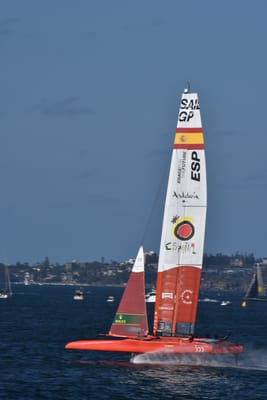 DSC_4563.JPG