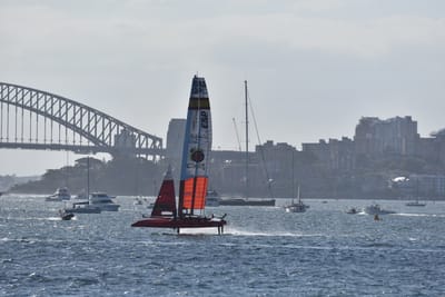 DSC_4566.JPG