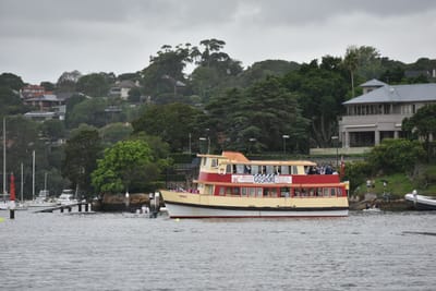 DSC_3563.JPG