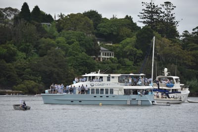 DSC_3568.JPG