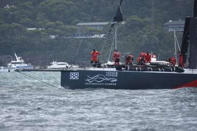 DSC_3331.JPG