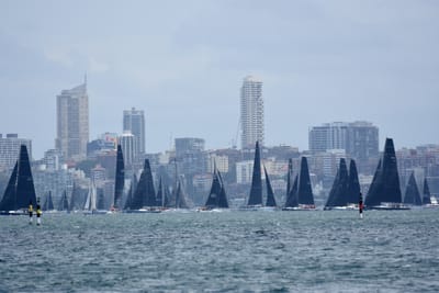 DSC_3333.JPG