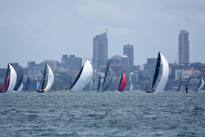 DSC_3334e.jpg