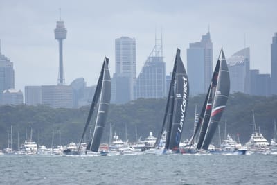 DSC_3337.JPG