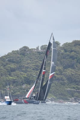 DSC_3339.JPG