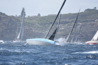 DSC_3346.JPG