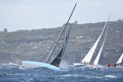 DSC_3350.JPG