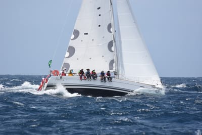 DSC_3363.JPG