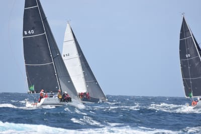 DSC_3365.JPG