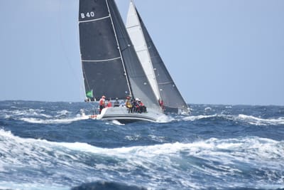 DSC_3366.JPG