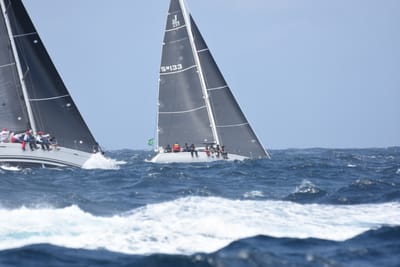 DSC_3367.JPG