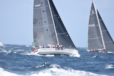 DSC_3369.JPG