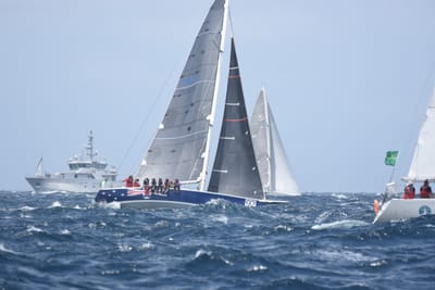 DSC_3377.JPG