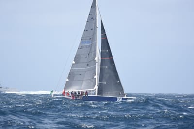 DSC_3379.JPG