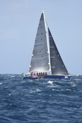 DSC_3381.JPG