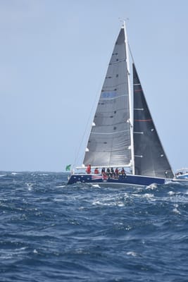 DSC_3382.JPG