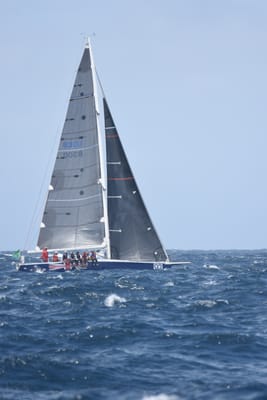 DSC_3385.JPG