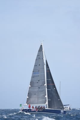 DSC_3388.JPG