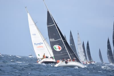 DSC_3391.JPG