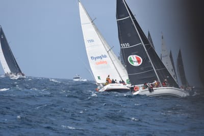 DSC_3392.JPG