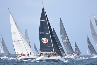 DSC_3394.JPG