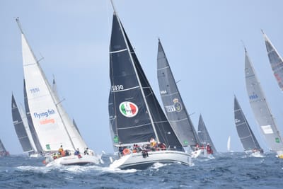 DSC_3396.JPG