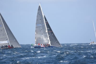 DSC_3398.JPG