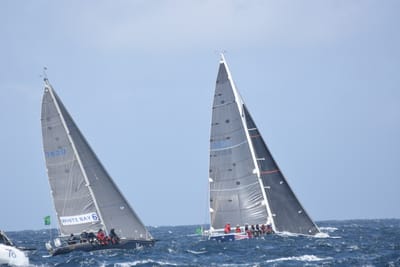 DSC_3399.JPG