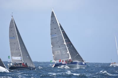DSC_3400.JPG