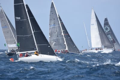 DSC_3408.JPG