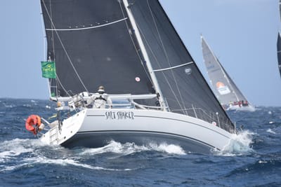 DSC_3410.JPG