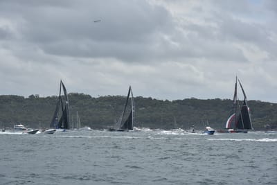 DSC_4568.JPG