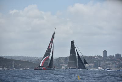 DSC_4572.JPG