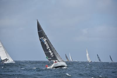 DSC_4597.JPG
