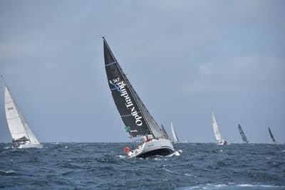 DSC_4598.JPG