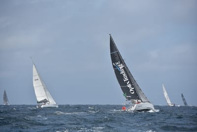 DSC_4600.JPG